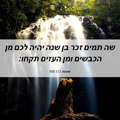 Picture 06 - שמות 12:5 HEB - שה תמים זכר בן שנה יהיה לכם - Bible Verse Picture