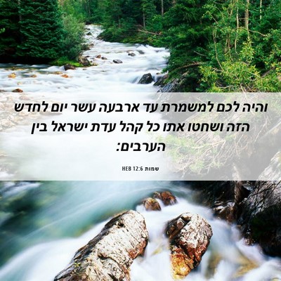 Picture 06 - שמות 12:6 HEB - והיה לכם למשמרת עד ארבעה - Bible Verse Picture