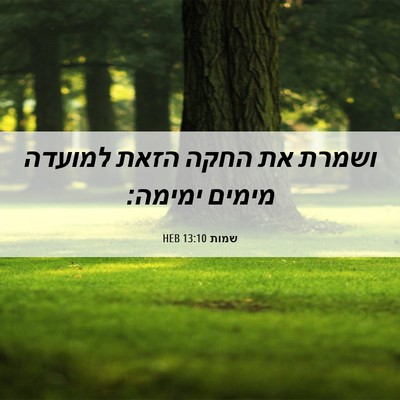 Picture 06 - שמות 13:10 HEB - ושמרת את החקה הזאת למועדה - Bible Verse Picture