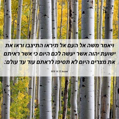 Picture 06 - שמות 14:13 HEB - ויאמר משה אל העם אל תיראו - Bible Verse Picture
