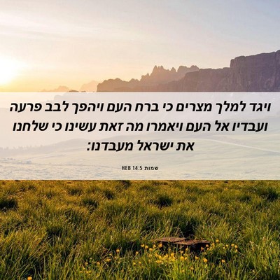 Picture 06 - שמות 14:5 HEB - ויגד למלך מצרים כי ברח העם - Bible Verse Picture