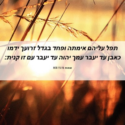 Picture 06 - שמות 15:16 HEB - תפל עליהם אימתה ופחד בגדל - Bible Verse Picture