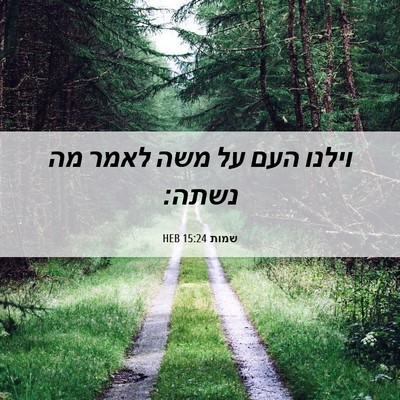 Picture 06 - שמות 15:24 HEB - וילנו העם על משה לאמר מה - Bible Verse Picture