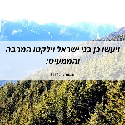 Picture 06 - שמות 16:17 HEB - ויעשו כן בני ישראל וילקטו - Bible Verse Picture
