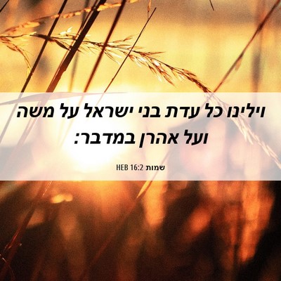 Picture 06 - שמות 16:2 HEB - וילינו כל עדת בני ישראל על - Bible Verse Picture