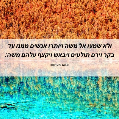 Picture 06 - שמות 16:20 HEB - ולא שמעו אל משה ויותרו - Bible Verse Picture