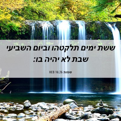 Picture 06 - שמות 16:26 HEB - ששת ימים תלקטהו וביום - Bible Verse Picture