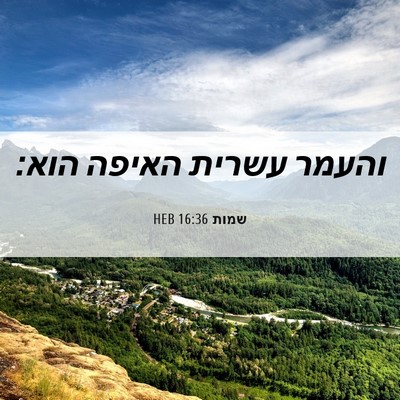Picture 06 - שמות 16:36 HEB - והעמר עשרית האיפה - Bible Verse Picture