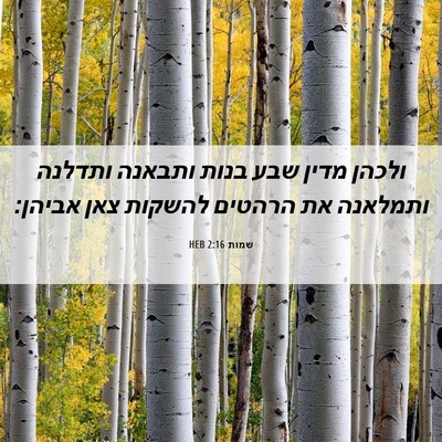 Picture 06 - שמות 2:16 HEB - ולכהן מדין שבע בנות ותבאנה - Bible Verse Picture