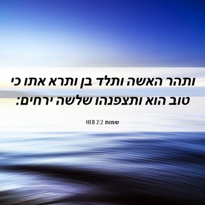 Picture 06 - שמות 2:2 HEB - ותהר האשה ותלד בן ותרא אתו - Bible Verse Picture