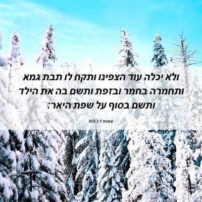Picture 06 - שמות 2:3 HEB - ולא יכלה עוד הצפינו ותקח לו - Bible Verse Picture