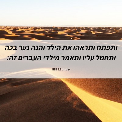 Picture 06 - שמות 2:6 HEB - ותפתח ותראהו את הילד והנה - Bible Verse Picture