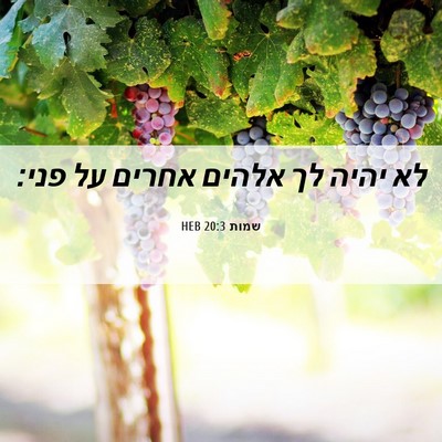 Picture 06 - שמות 20:3 HEB - לא יהיה לך אלהים אחרים על - Bible Verse Picture