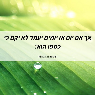 Picture 06 - שמות 21:21 HEB - אך אם יום או יומים יעמד לא - Bible Verse Picture