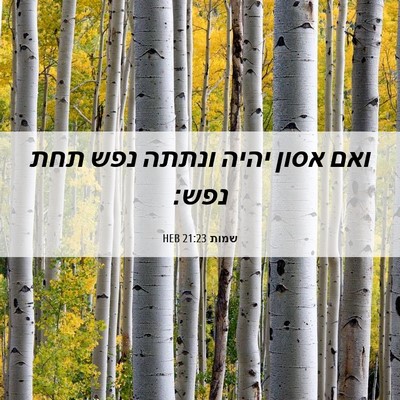 Picture 06 - שמות 21:23 HEB - ואם אסון יהיה ונתתה נפש תחת - Bible Verse Picture