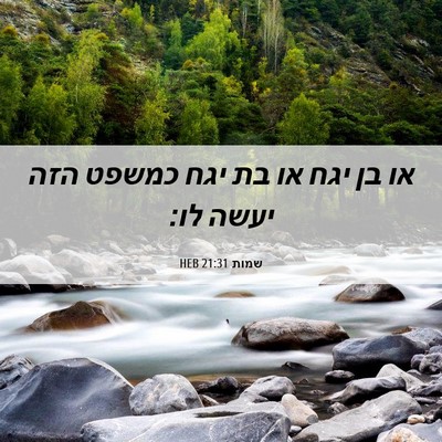 Picture 06 - שמות 21:31 HEB - או בן יגח או בת יגח כמשפט - Bible Verse Picture