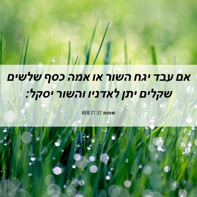 Picture 06 - שמות 21:32 HEB - אם עבד יגח השור או אמה כסף - Bible Verse Picture