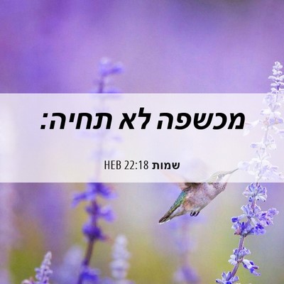 Picture 06 - שמות 22:18 HEB - מכשפה לא - Bible Verse Picture