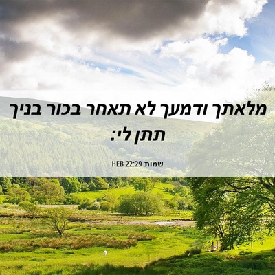 Picture 06 - שמות 22:29 HEB - מלאתך ודמעך לא תאחר בכור - Bible Verse Picture