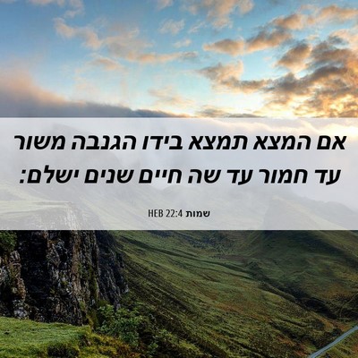 Picture 06 - שמות 22:4 HEB - אם המצא תמצא בידו הגנבה - Bible Verse Picture