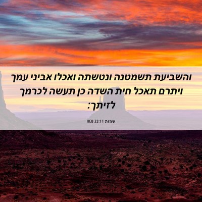 Picture 06 - שמות 23:11 HEB - והשביעת תשמטנה ונטשתה - Bible Verse Picture
