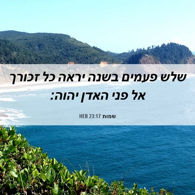 Picture 06 - שמות 23:17 HEB - שלש פעמים בשנה יראה כל - Bible Verse Picture