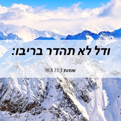 Picture 06 - שמות 23:3 HEB - ודל לא תהדר - Bible Verse Picture
