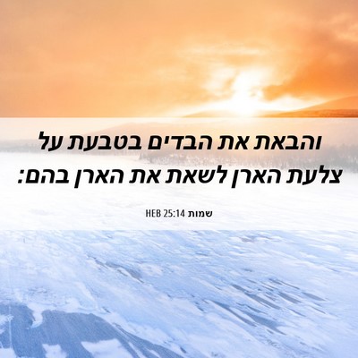 Picture 06 - שמות 25:14 HEB - והבאת את הבדים בטבעת על - Bible Verse Picture