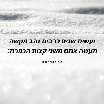 Picture 06 - שמות 25:18 HEB - ועשית שנים כרבים זהב מקשה - Bible Verse Picture
