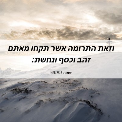 Picture 06 - שמות 25:3 HEB - וזאת התרומה אשר תקחו מאתם - Bible Verse Picture