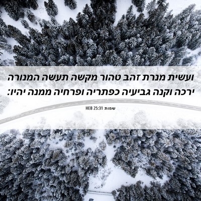 Picture 06 - שמות 25:31 HEB - ועשית מנרת זהב טהור מקשה - Bible Verse Picture