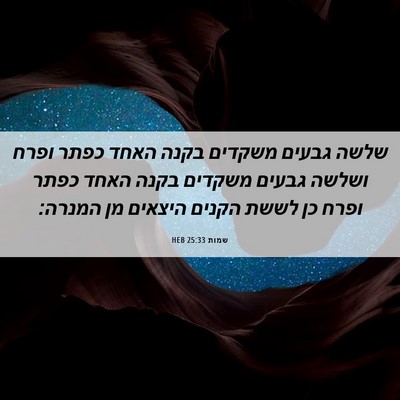 Picture 06 - שמות 25:33 HEB - שלשה גבעים משקדים בקנה - Bible Verse Picture