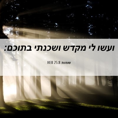 Picture 06 - שמות 25:8 HEB - ועשו לי מקדש ושכנתי - Bible Verse Picture