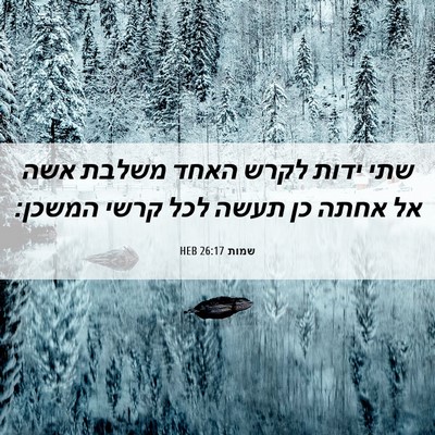 Picture 06 - שמות 26:17 HEB - שתי ידות לקרש האחד משלבת - Bible Verse Picture