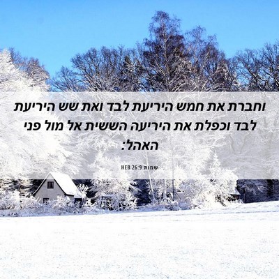 Picture 06 - שמות 26:9 HEB - וחברת את חמש היריעת לבד ואת - Bible Verse Picture