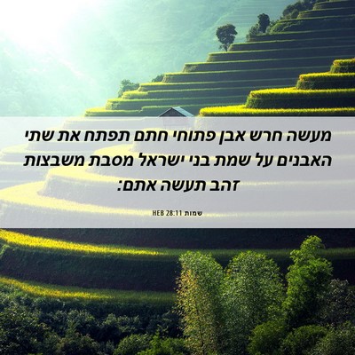 Picture 06 - שמות 28:11 HEB - מעשה חרש אבן פתוחי חתם תפתח - Bible Verse Picture