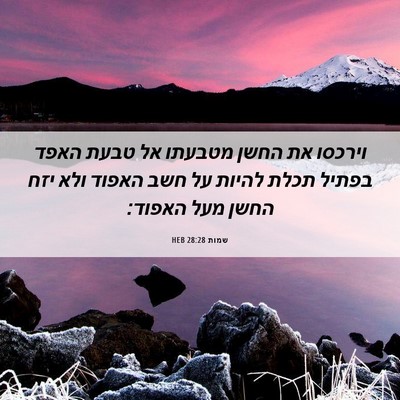 Picture 06 - שמות 28:28 HEB - וירכסו את החשן מטבעתו אל - Bible Verse Picture