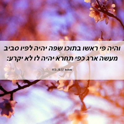 Picture 06 - שמות 28:32 HEB - והיה פי ראשו בתוכו שפה יהיה - Bible Verse Picture