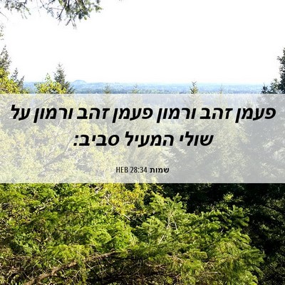 Picture 06 - שמות 28:34 HEB - פעמן זהב ורמון פעמן זהב - Bible Verse Picture