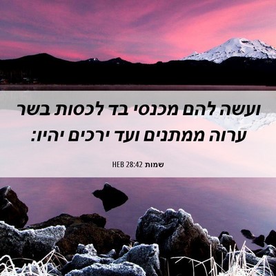 Picture 06 - שמות 28:42 HEB - ועשה להם מכנסי בד לכסות בשר - Bible Verse Picture