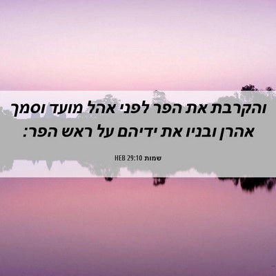 Picture 06 - שמות 29:10 HEB - והקרבת את הפר לפני אהל מועד - Bible Verse Picture