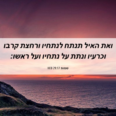 Picture 06 - שמות 29:17 HEB - ואת האיל תנתח לנתחיו ורחצת - Bible Verse Picture