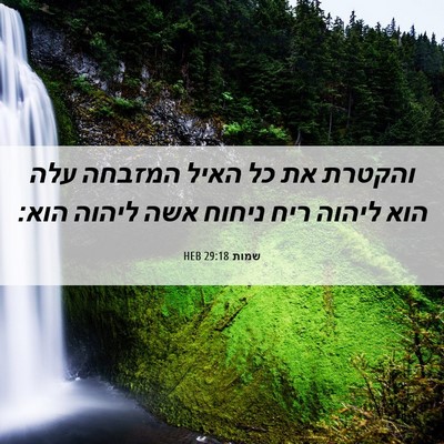Picture 06 - שמות 29:18 HEB - והקטרת את כל האיל המזבחה - Bible Verse Picture