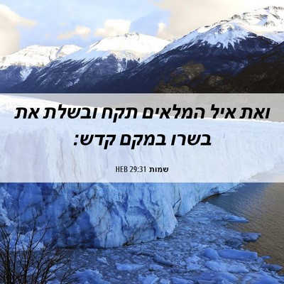 Picture 06 - שמות 29:31 HEB - ואת איל המלאים תקח ובשלת את - Bible Verse Picture