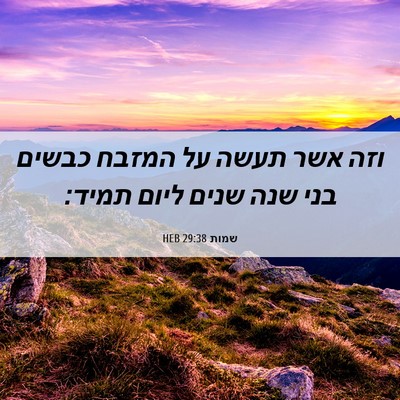 Picture 06 - שמות 29:38 HEB - וזה אשר תעשה על המזבח כבשים - Bible Verse Picture