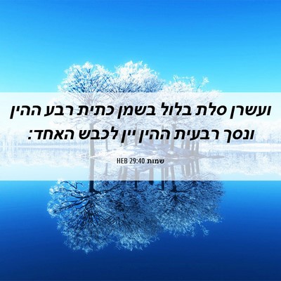 Picture 06 - שמות 29:40 HEB - ועשרן סלת בלול בשמן כתית - Bible Verse Picture