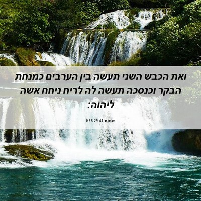 Picture 06 - שמות 29:41 HEB - ואת הכבש השני תעשה בין - Bible Verse Picture