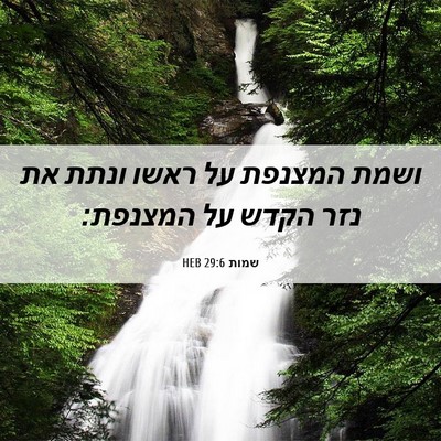 Picture 06 - שמות 29:6 HEB - ושמת המצנפת על ראשו ונתת את - Bible Verse Picture