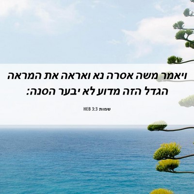 Picture 06 - שמות 3:3 HEB - ויאמר משה אסרה נא ואראה את - Bible Verse Picture