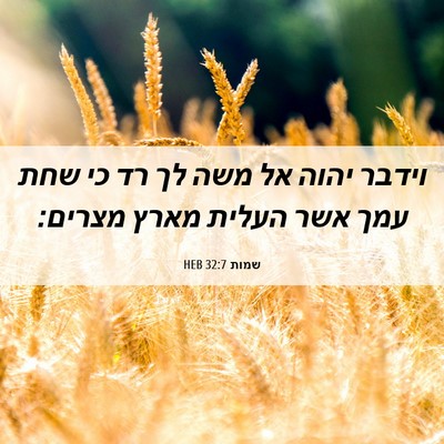 Picture 06 - שמות 32:7 HEB - וידבר יהוה אל משה לך רד כי - Bible Verse Picture